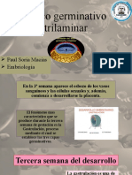 6 Disco Germinativo Trilaminar