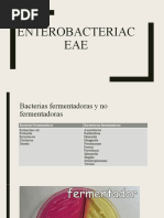 1 - Murraymetodosmicrobiologia Medica Murray 8va Edicion  PDF 