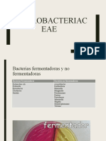 Familia Enterobacteriaceae