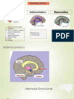 Bases Biologicas3