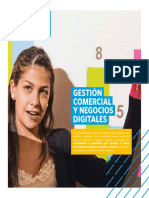 CT Gestion Comercial y Negocios Digitales