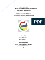 LP Sifera Elva (Diabetes Melitus)