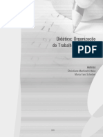 SCHEIBEL, Maria Fani - Didática, Identidade Profissional e Contextualização Da Prática Docente