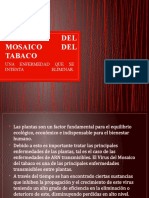 VIRUS DEL MOSAICO DEL TABACO