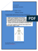 2.TALLER DE SISTEMA OSEO