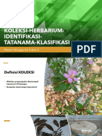 5-6-Rev 2021 - Koleksi-Herbarium-Identifikasi