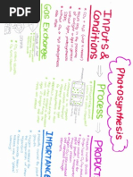 Photosynthesis Concept Map