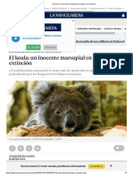 El koala_ un inocente marsupial en peligro de extinción