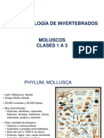 Comparto 'Zoologia de Invertebrados 2021AEst' Contigo