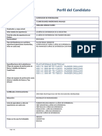 Candidate Profile Template-Spanish (4) 112