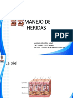 MANEJO_HERIDAS_ MAX_ROA