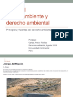 VF Clase 1 D Ambiental U Continental Agosto 2020 Ppts