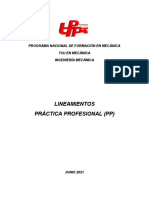LINEAMIENTOS PRÁCTICA PROFESIONAL (PP)