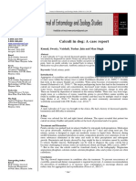 Calculi in Dog: A Case Report: Komal, Sweety, Vaishali, Tushar Jain and Man Singh