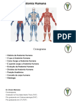 Aula de Anatomia 2