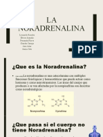 La Noradrenalina