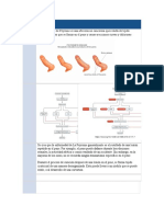 La enfermedad de Peyronie es una afección no cancerosa que resulta de tejido cicatrizal fibroso que se forma en el pene y causa erecciones curvas y dolorosas