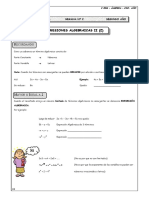 Expresiones Algebraicas II Z