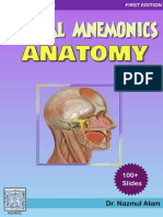 Visual Mnemonics Anatomy