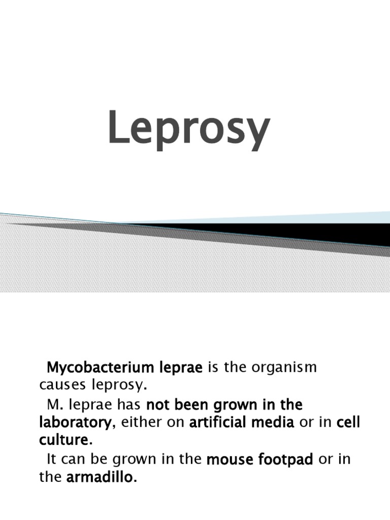 Leprosy PDF Leprosy Animal Diseases