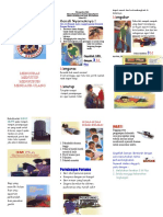 Leaflet 3m Plus Pencegahan DBD