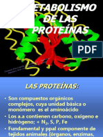 8metabolismo de Proteinas Nag