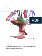 Trabajo Urogine 3