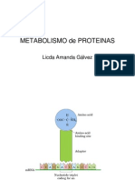 Metabolismo de Proteinas