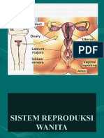 Reproduksi Wanita