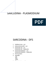 Sarcodina - Plasmodium