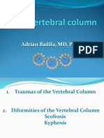 C14 - Coloana Vertebrala Engleza 2