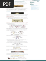 what-are-meridians-in-traditional-chinese-medicine-tcm