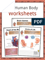 Sample The Human Body Worksheets 1