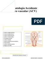 Fisiopatología Accidente Cerebro Vascular (ACV)