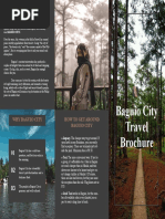 Travel Agency Brochure