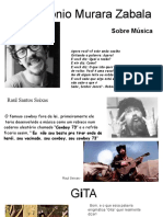 Análise da música Raul Seixas Cowboy 73