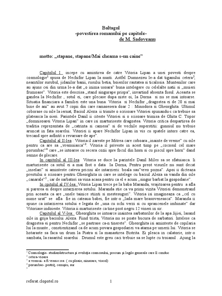 Baltagul -povestirea romanului pe capitole-de M. Sadoveanu