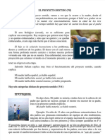 PDF El Proyecto Sentido Salomon Sellam DL