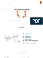 FX de Radio Distal