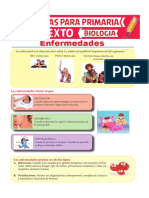 Enfermedades Para Sexto de Primaria