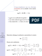 algebra-lineal-definicion-polinomio-caracteristico