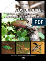 Insectos Chile 2012