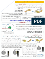 ملخص ميدان الظواهر الكهربائية4م