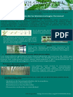 Biotecnología en El Contexto Forestal.