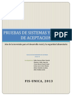 Pruebasdesistemasyaceptacion 130629115038 Phpapp01