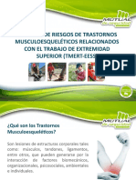 PRESENTACI+ôN BREVE TRABAJADORES