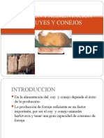 4. ALIMENTACION  DEL CUY