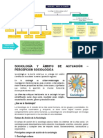 Introduccion A La Sociologia