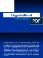 Organizational Behavior Study Guide