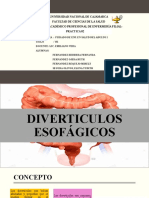 Diverticulo Practica 2